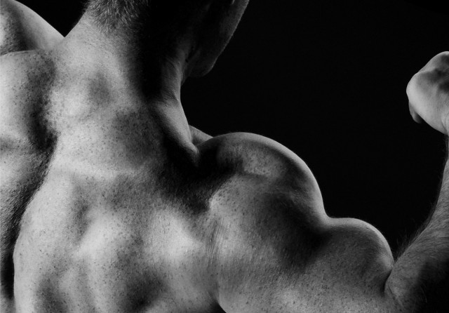 Методика и программа по увеличению силы в жиме штанги лежа, Программа тренировок для увеличения силовых показателей в жиме лежа Методика и программа по увеличению силы в жиме штанги лежа, Программа тренировок для увеличения силовых показателей в жиме лежа