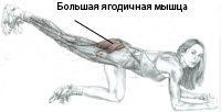 накачать ягодицы в домашних условиях, ягодичные мышцы, тренировка ягодичных мышц, bolshaya yagodichnaya myshca