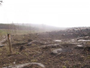 аномальные зоны России, мистические места на планете, аномальная зона, самые невероятные истории, аномалия этой зоны, странные явления, происходят невероятные события, загадочные места, странное явление в этом месте, страшное и опасное место, необъяснимые происшествия, мистическое место России, происходит нечто ужасное, страшное зрелище