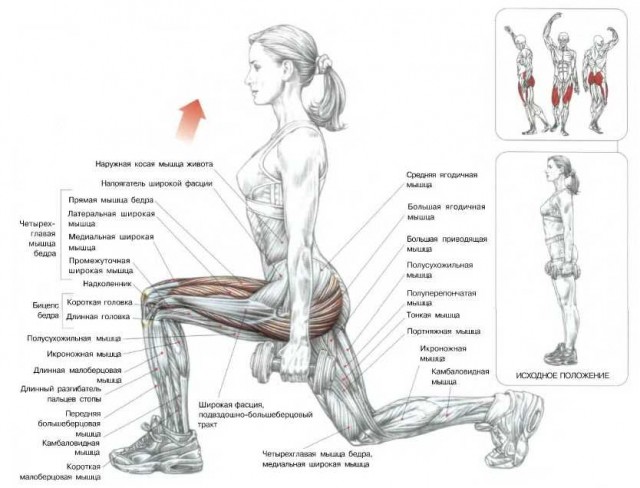 как накачать ягодицы в домашних условиях, тренировка мышц ягодиц, kak nakachat yagodicy