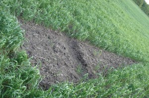 аномальные зоны России, мистические места на планете, аномальная зона, самые невероятные истории, аномалия этой зоны, странные явления, происходят невероятные события, загадочные места, странное явление в этом месте, страшное и опасное место, необъяснимые происшествия, мистическое место России, происходит нечто ужасное, страшное зрелище