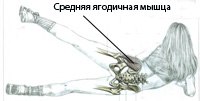 как накачать ягодицы в домашних условиях, мышцы ягодиц накачать, накачать мышцы ягодиц девушке, yagodicy trenirovka