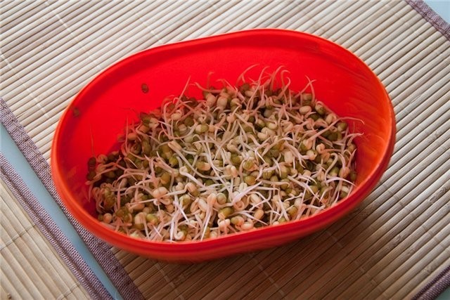Маш для салата