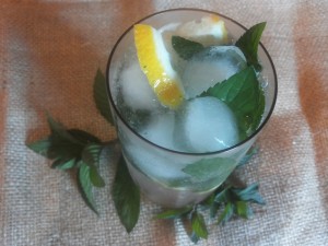 Mohito so l'dom v stakane