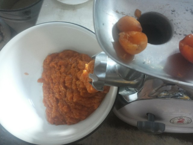 abrikosy perekruchennye na mjasorubke