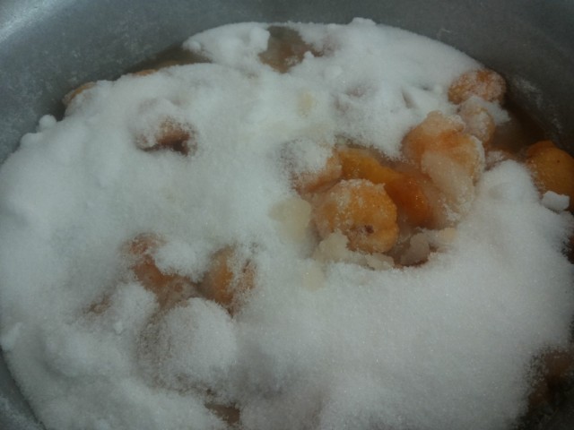 abrikosy zasypannye saharom