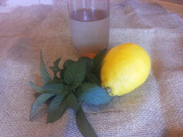 produkty dlja koktejlja Mohito