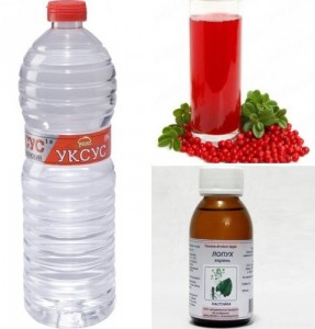 народные средства от вшей