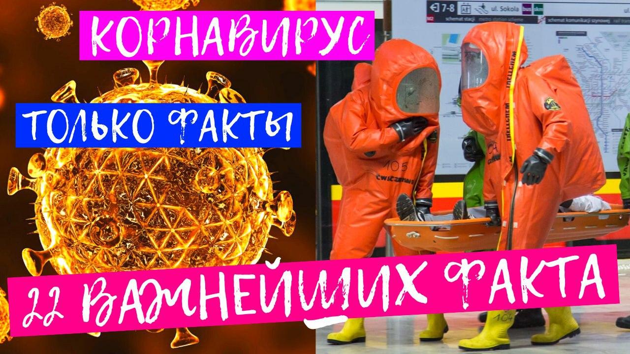 Факты про коронавирус, коронавирус, коронавирус в Китае факты, коронавирус в Китае, Симптомы коронавируса, Вирус в Китае, последние новости про коронавирус, китайский коронавирус новости, настоящие факты про коронавирус, про коронавирус в Китае, Топ факты про про коронавирус, факты коронавирус, koronavirus,coronavirus, важные факты коронавирус, важные новости коронавирус, последние новости про коронавирус Факты про коронавирус, коронавирус, коронавирус в Китае факты, коронавирус в Китае, Симптомы коронавируса, Вирус в Китае, последние новости про коронавирус, китайский коронавирус новости, настоящие факты про коронавирус, про коронавирус в Китае, Топ факты про про коронавирус, факты коронавирус, koronavirus,coronavirus, важные факты коронавирус, важные новости коронавирус, последние новости про коронавирус